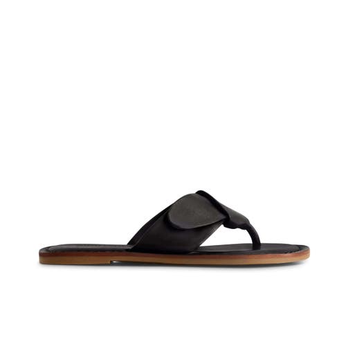 BERNARDO FOOTWEAR BERNARDO FOOTWEAR LAIA THONG SANDAL