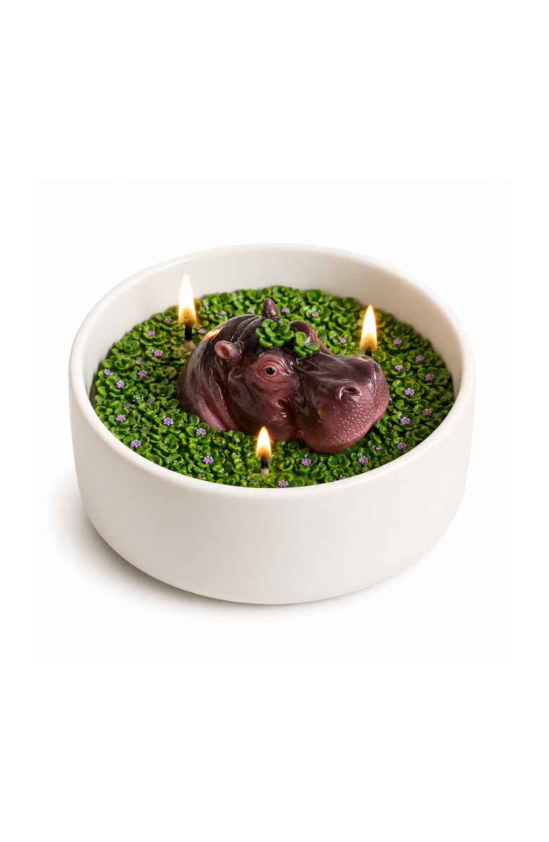 Southlake gifts Hippo Candle Bowl, Main, color, Brown / Purple / Green