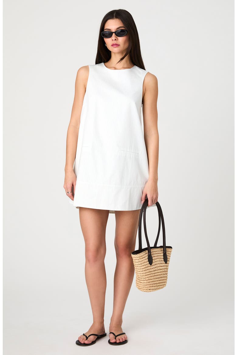 Sleeveless Shift Minidress, Alternate, color, CREAM-BLUE STRIPE