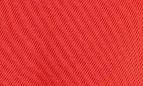 Tommy Bahama Flamingo Mingle Islandzone® Piqué Performance Polo