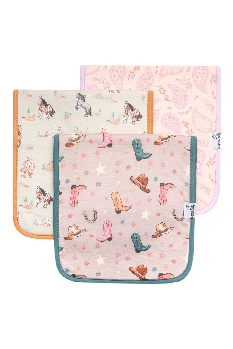 Cheyenne Assorted 3-Pack Burp Cloths, Main, color, CHEYENNE
