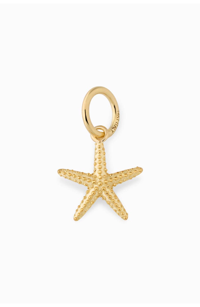 Oradina 14K Yellow Gold Starfish Pendant Charm, Main, color, Yellow Gold