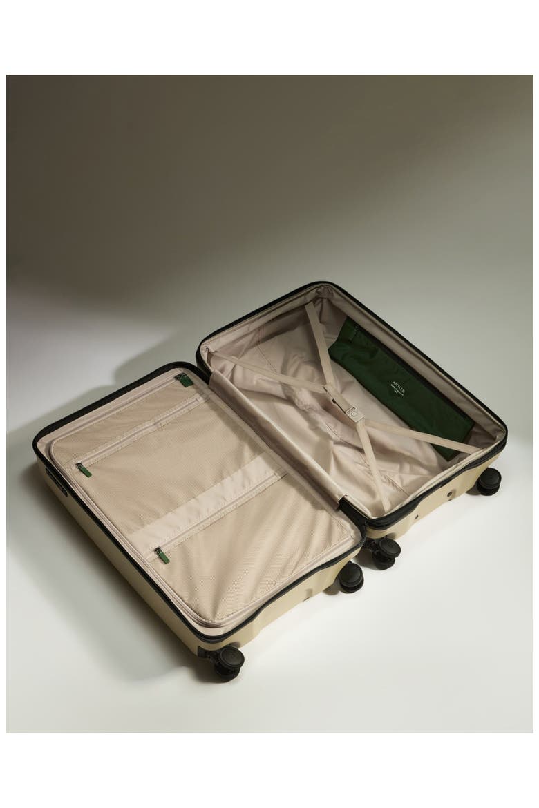Large Luggage - Icon Stripe, Alternate, color, Dune