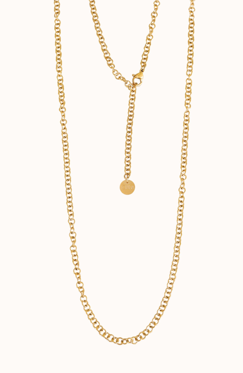Long Rolo Chain Necklace