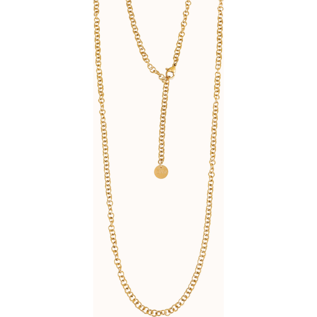 Joiana Jewelry Long Rolo Chain Necklace In Gold
