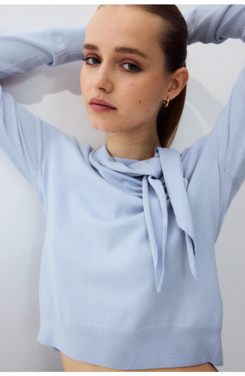 H&M Scarf-collar Jumper, Alternate, color, Light Blue