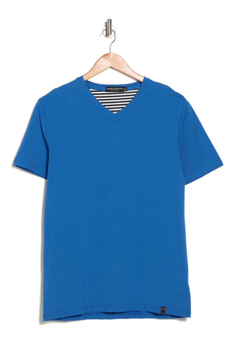 Solid V-Neck T-Shirt, Alternate, color, ROYAL