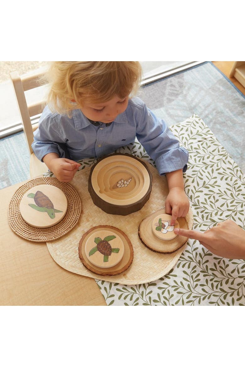 Lifecycle Puzzles - Set of 3, Alternate, color, Multicolored