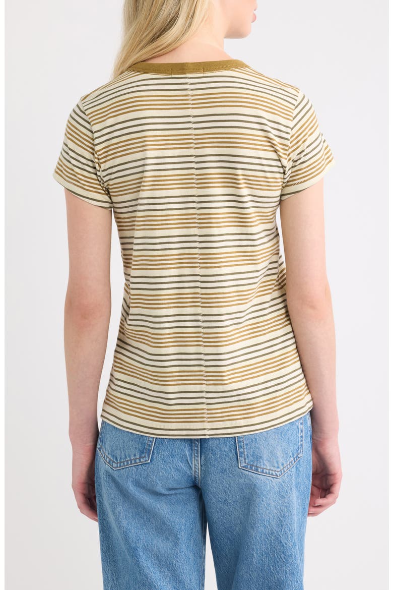 The Slub Stripe Cotton T-Shirt, Alternate, color, GREEN MULTI