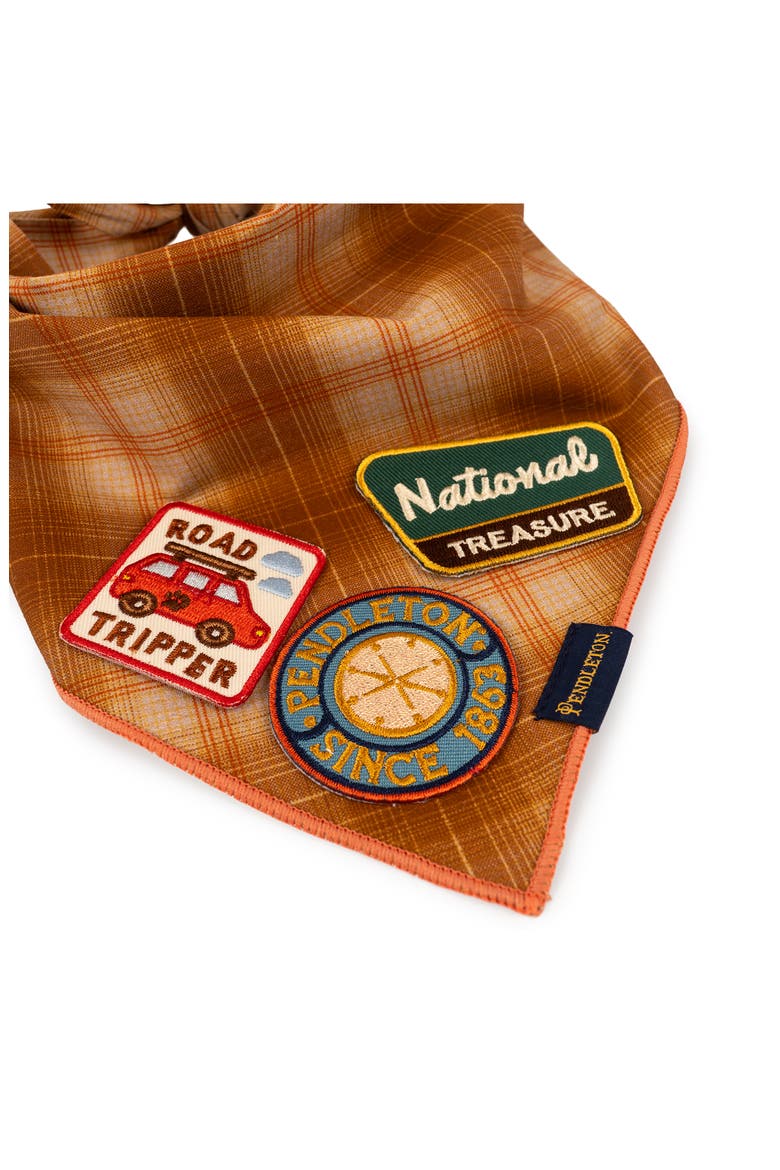 Road Tripper Pet Merit Badges, Alternate, color, ROAD TRIPPER