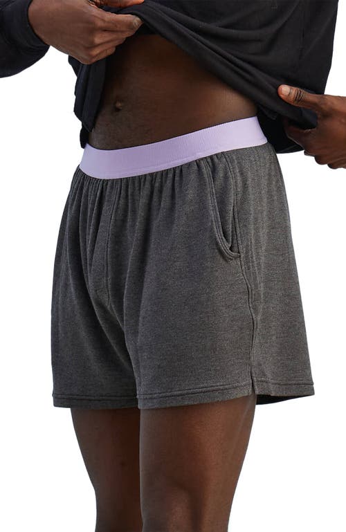 Jambys House Shorts In Gray/lavender