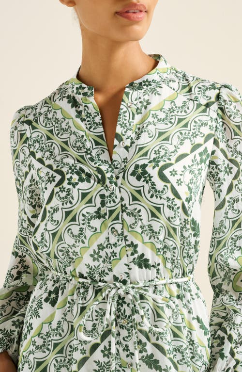 Ever New Penelope Printed Long Sleeve Maxi Shirtdress In Green