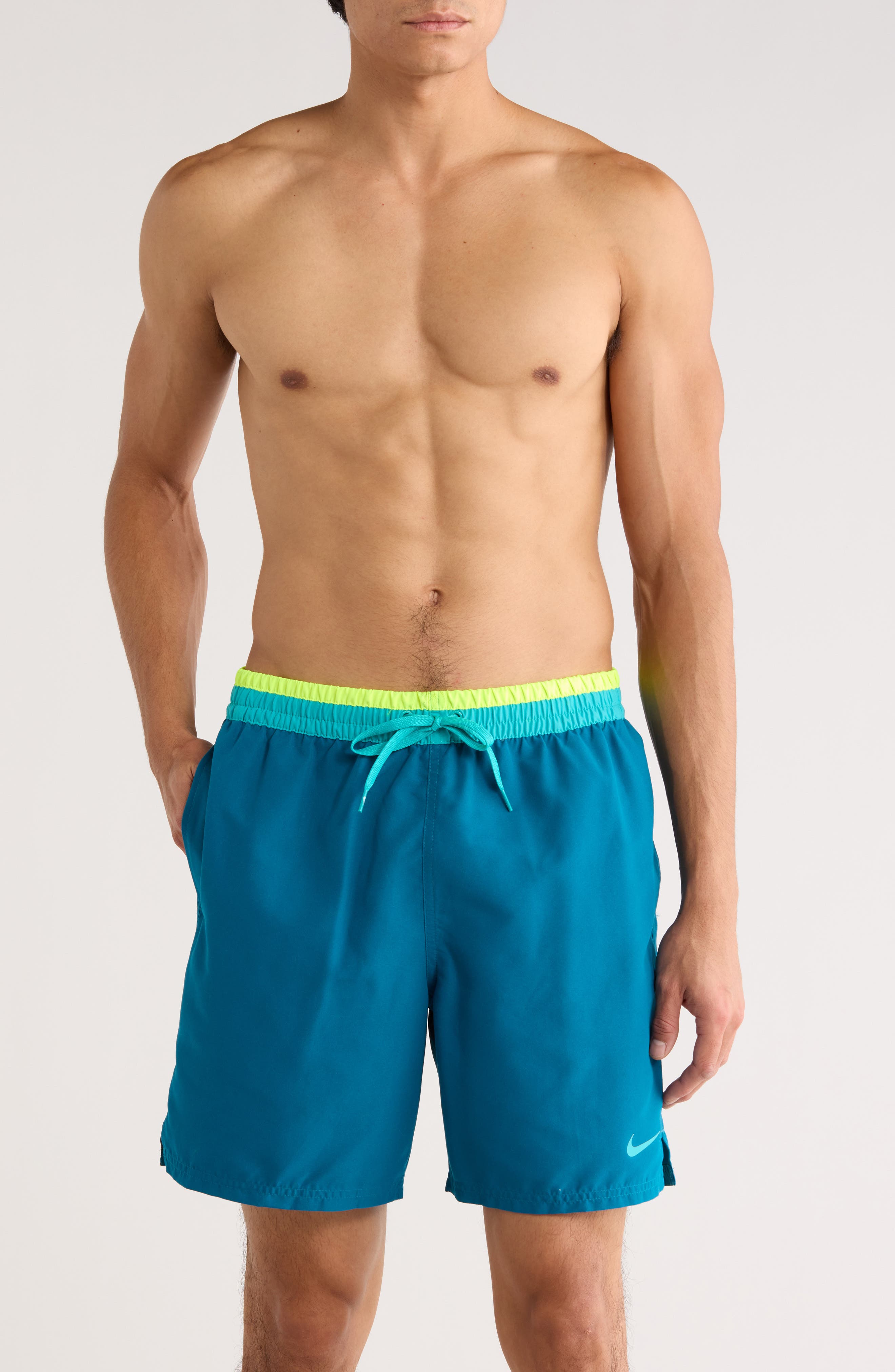 Nike Volley Swim Trunks