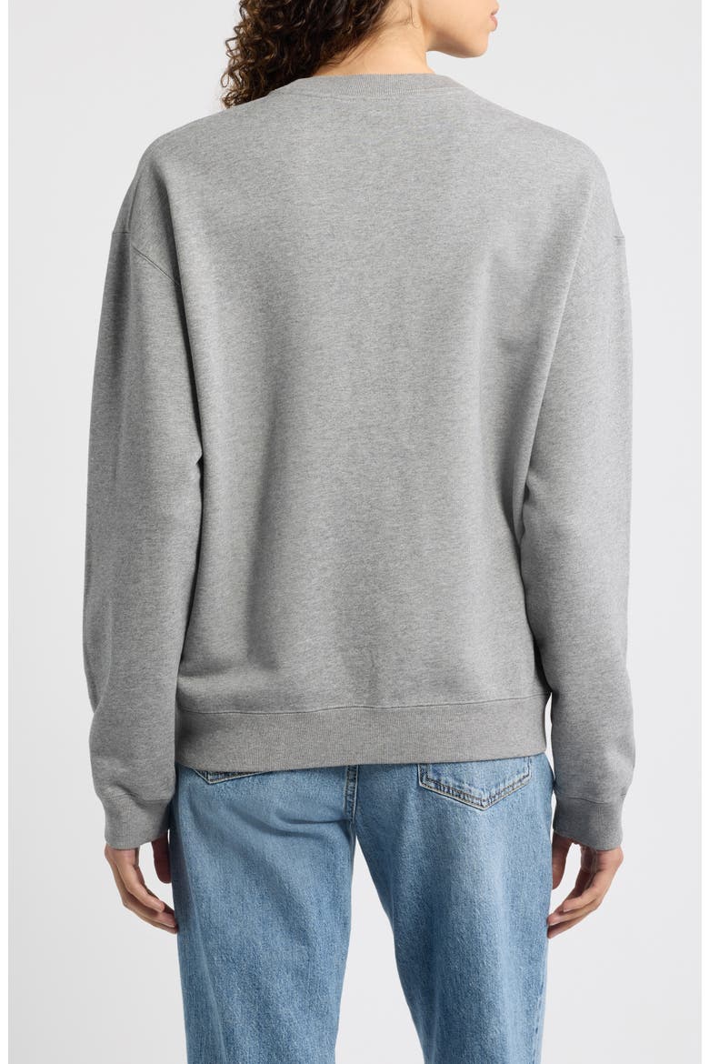 Wander Science & Research Graphic Organic Cotton Sweatshirt, Alternate, color, STONE HEATHER-PIERRE CHINE
