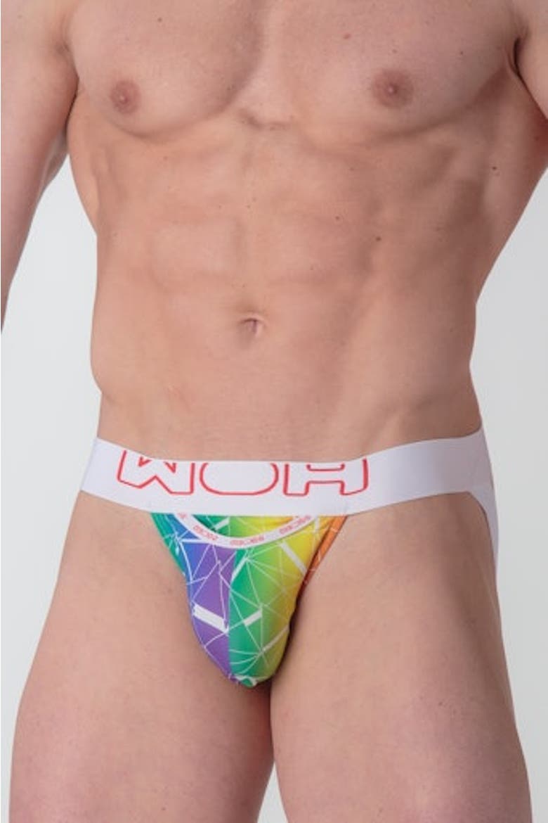 WOH Sexy Fun Jockstrap, Alternate, color, Multico Print