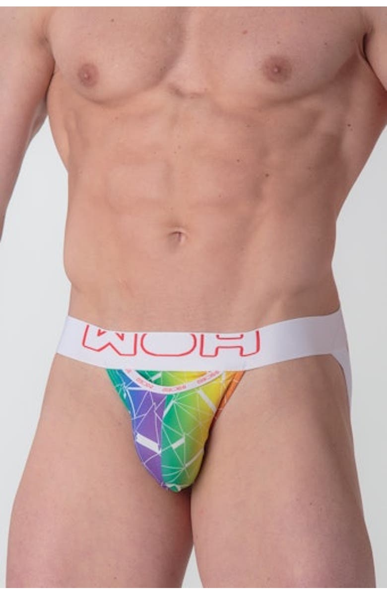 HOM WOH Sexy Fun Jockstrap, Alternate, color, Multico Print