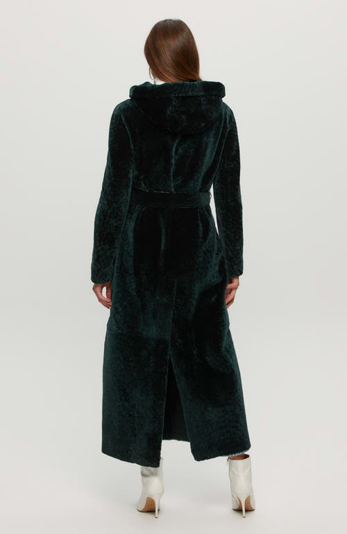 Gorski Shearling Lamb Coat With Hood In Green