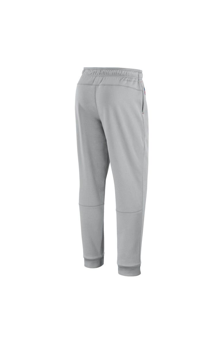Nike Men's Nike Gray Washington Commanders Sideline Logo Performance Pants, Alternate, color, 