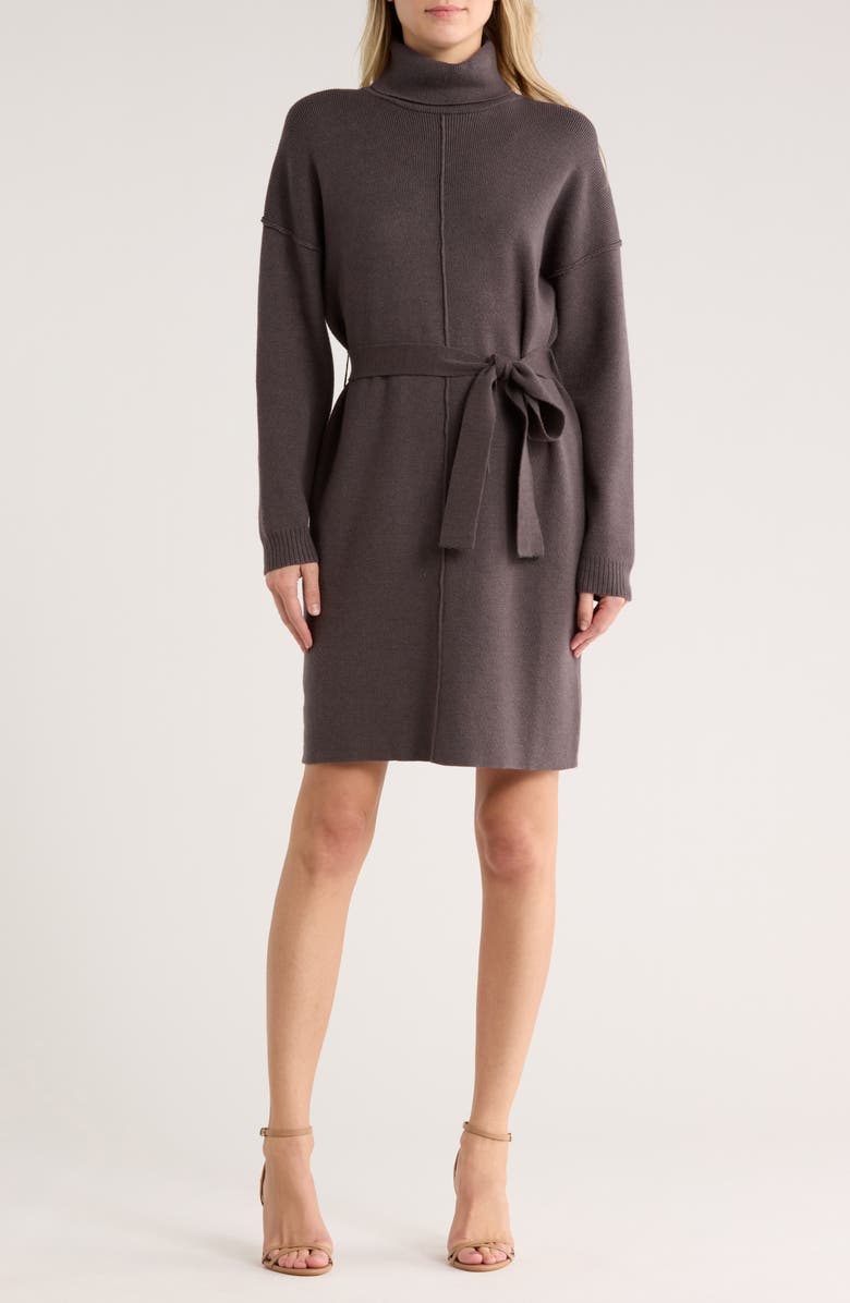 STITCHDROP Hickory Run Long Sleeve Sweater Dress, Main, color, Ganache