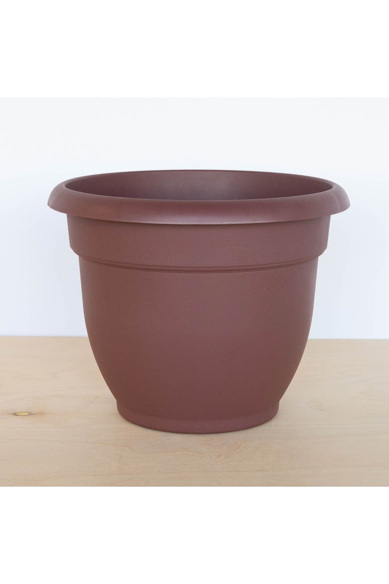 Ariana 13 Inch x 7 Inch Gardening Pot, Merlot, Alternate, color, Brown