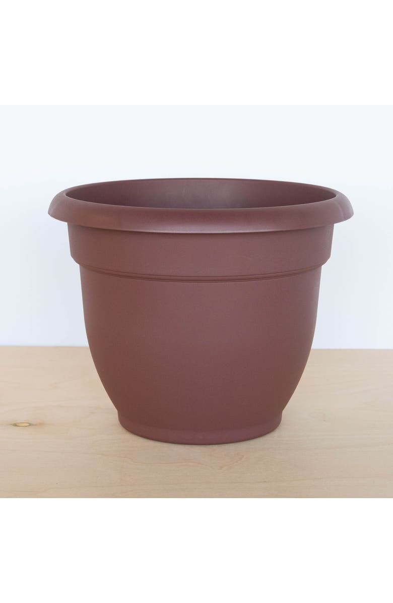 Bloem Ariana 13 Inch x 7 Inch Gardening Pot, Merlot, Alternate, color, Brown