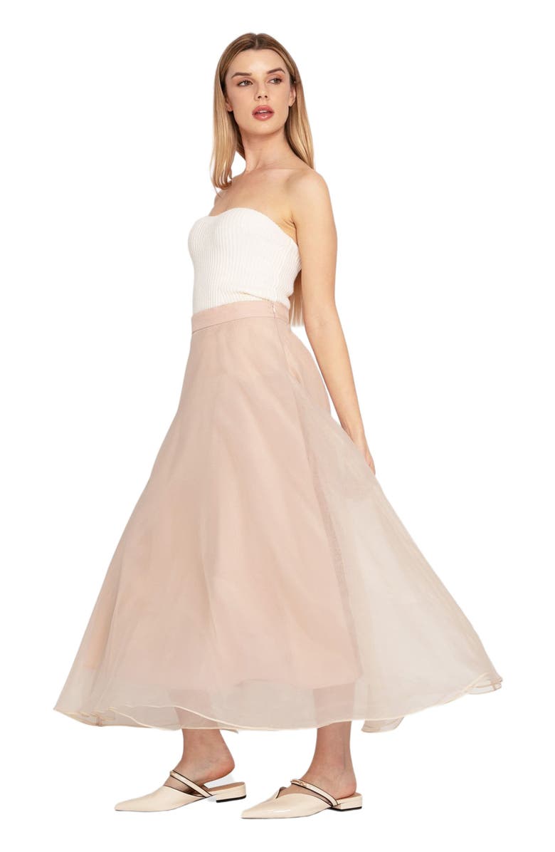 Belle & Bloom Make My Dreams Ballet Skirt, Alternate, color, Dusty Rose