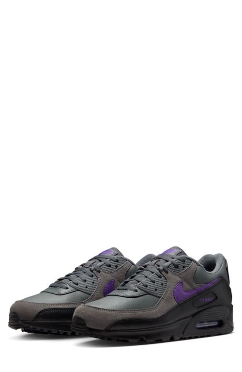 Nike Air Max 90 Sneaker In Gray