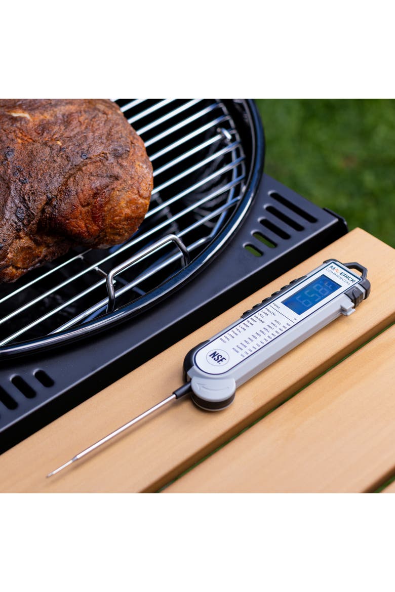 Pro-Temp Professional Thermocouple Thermometer, Alternate, color, Grey
