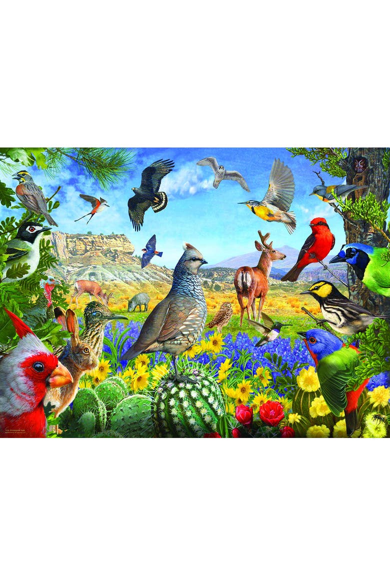 Texas Birds 1000 piece Jigsaw Puzzle for Adults, Alternate, color, Multicolor