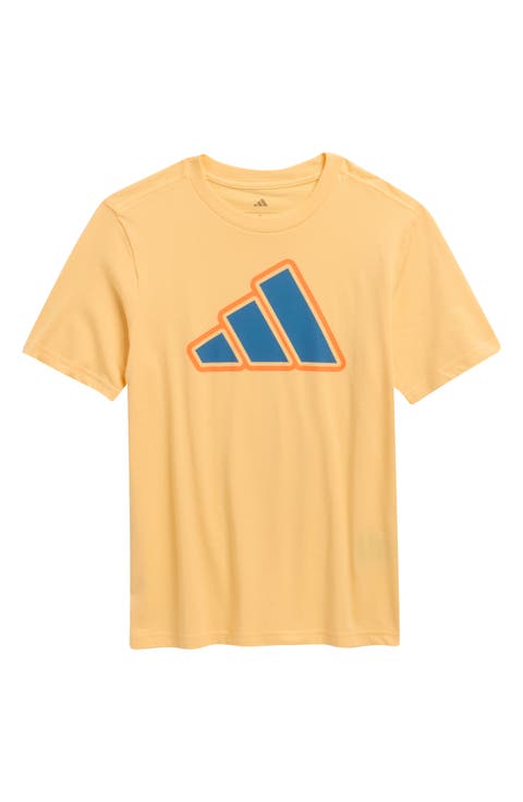 Kids' Logo Graphic T-Shirt (Big Kid)