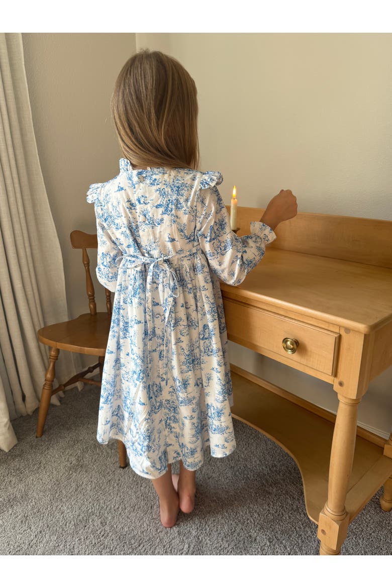 Aoki Blue Toile Long Sleeve Dress, Alternate, color, 3-4Y