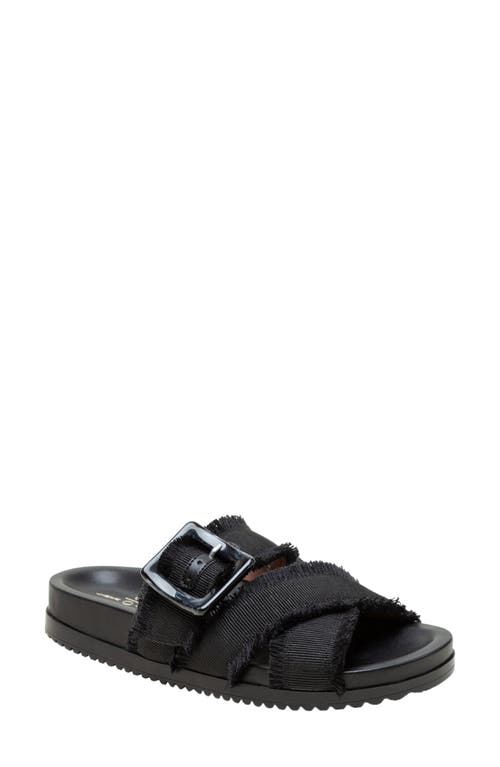 Linea Paolo Rylee Sandal In Black