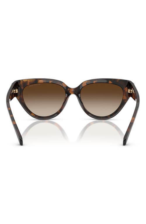 Michael Kors 55mm Gradient Cat Eye Sunglasses In Brown