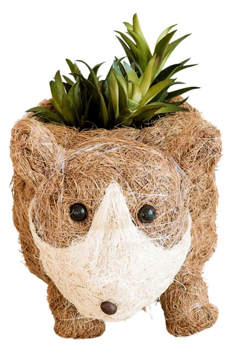 LIKHA Baby Corgi Handwoven Planter, Alternate, color, Brown / White