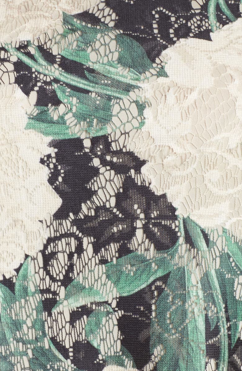 Gabby Skye Print Lace Trapeze Dress, Alternate, color, 