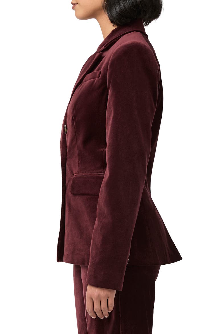 Malbec Double Breasted Velveteen Blazer, Alternate, color, DARK OBLOOD
