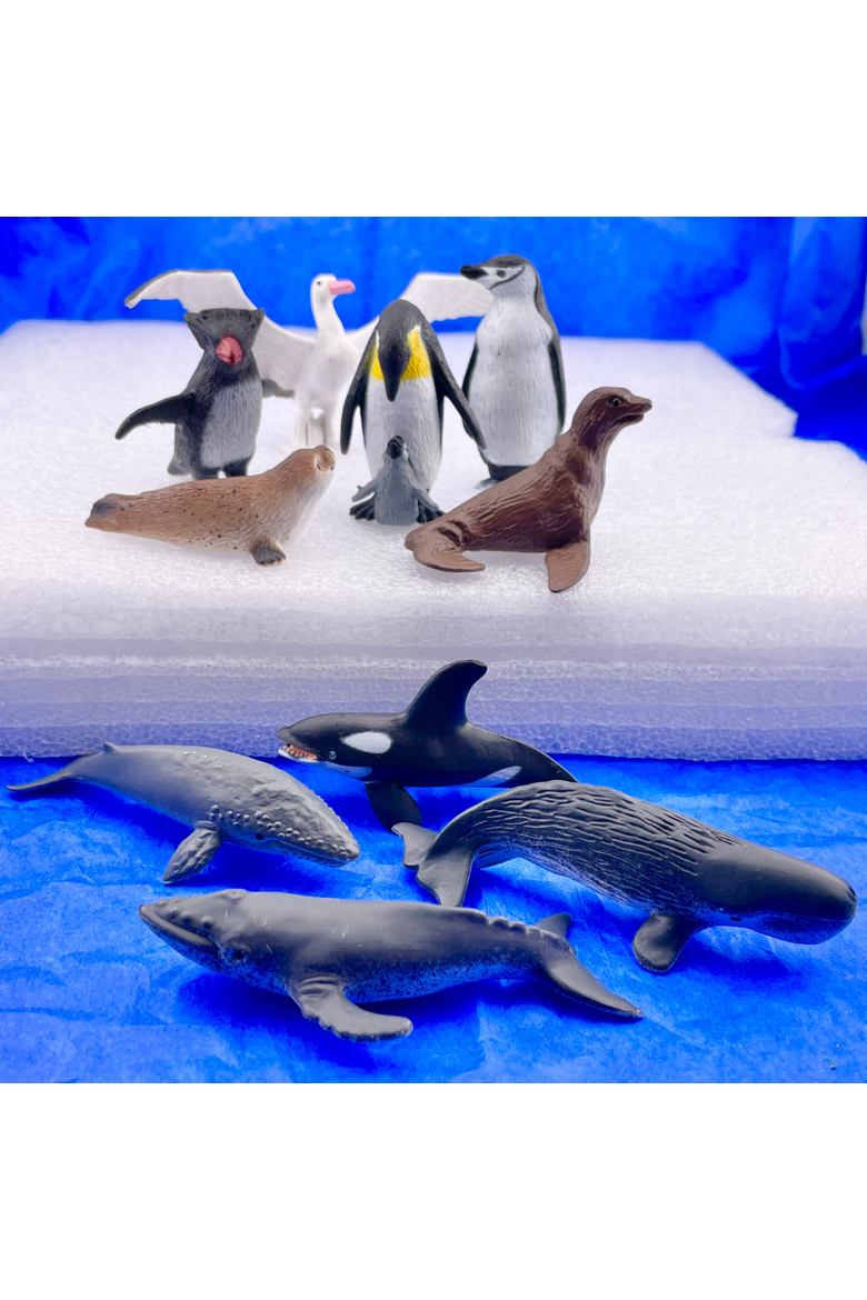 Antarctica Toy, Alternate, color, No Color