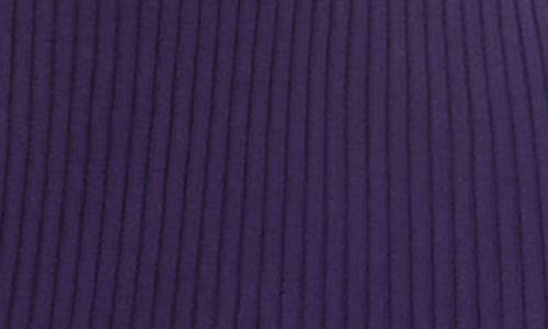 Nina Leonard Long Sleeve Ribbed Sweater Dress In Purple