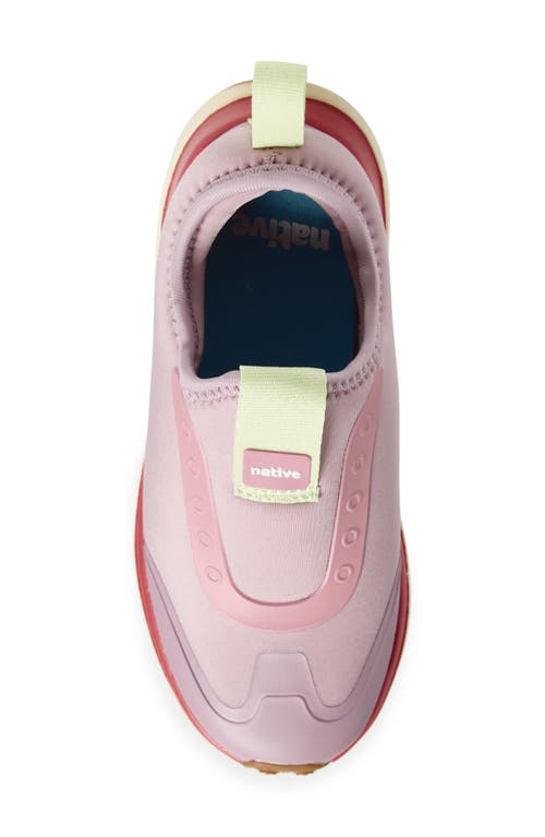 Native Shoes Robbie Dash Slip-on Sneaker In Multi