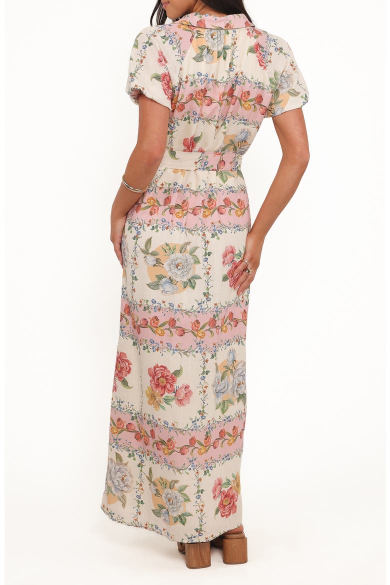 James Print Tie Waist Maxi Shirtdress, Alternate, color, ROSE TILE