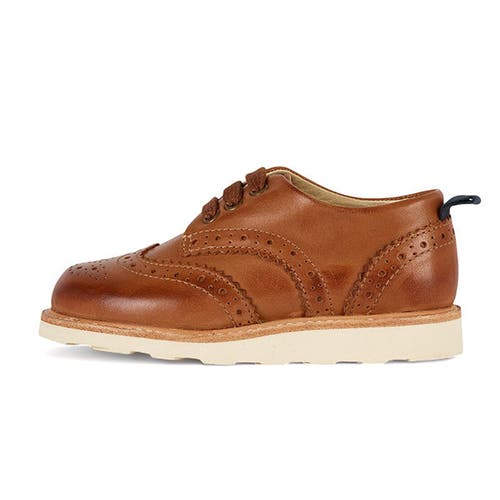 Young Soles Brando Kids Brogue Shoe In Multi
