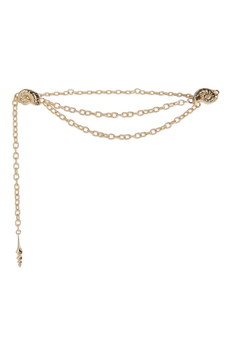 Seashell Layered Chain Belt, Main, color, GOLD
