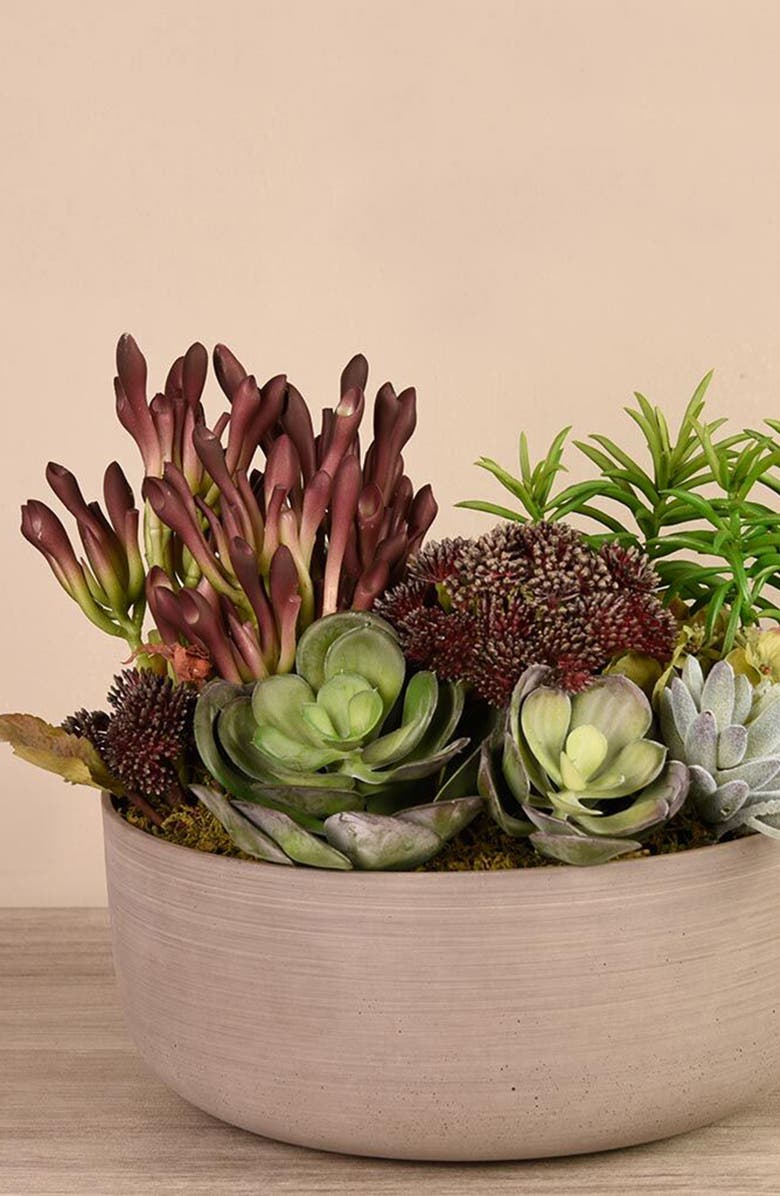 Bloomr Desert Dunes Succulent Arrangement Planter Decoration, Alternate, color, 