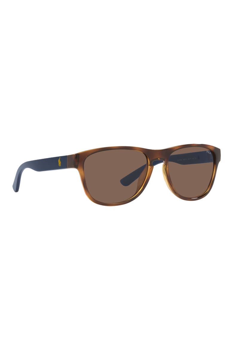 56mm Pillow Sunglasses, Alternate, color, SHINY HAVANA / BROWN