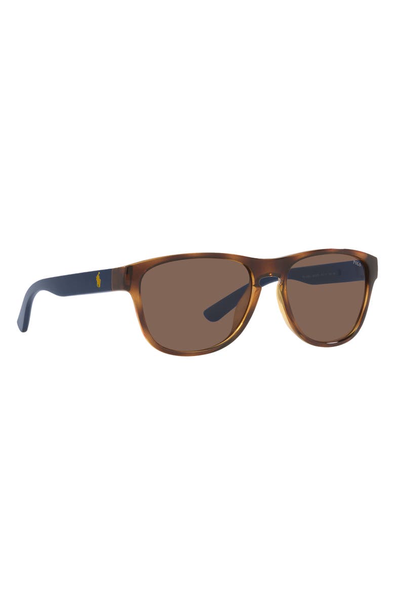 Polo Ralph Lauren 56mm Pillow Sunglasses, Alternate, color, Shiny Havana / Brown