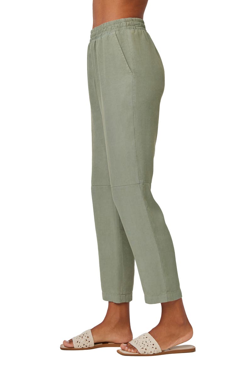 Bella Dahl Camille Drawstring Waist Ankle Pants, Alternate, color, 