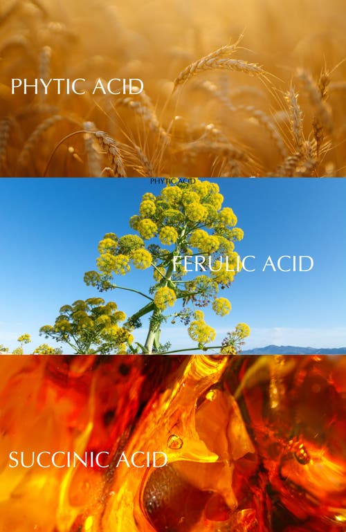Albion Excia Embeage Adicid Serum In Red