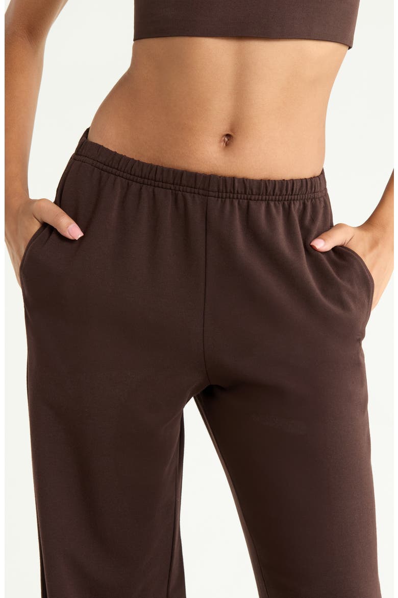 Weekend Wide Leg Sweatpants, Alternate, color, BROWN MOLE'