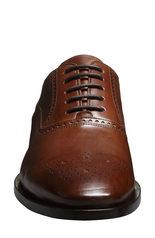 Allen Edmonds Siena Brogue Oxford In Chili