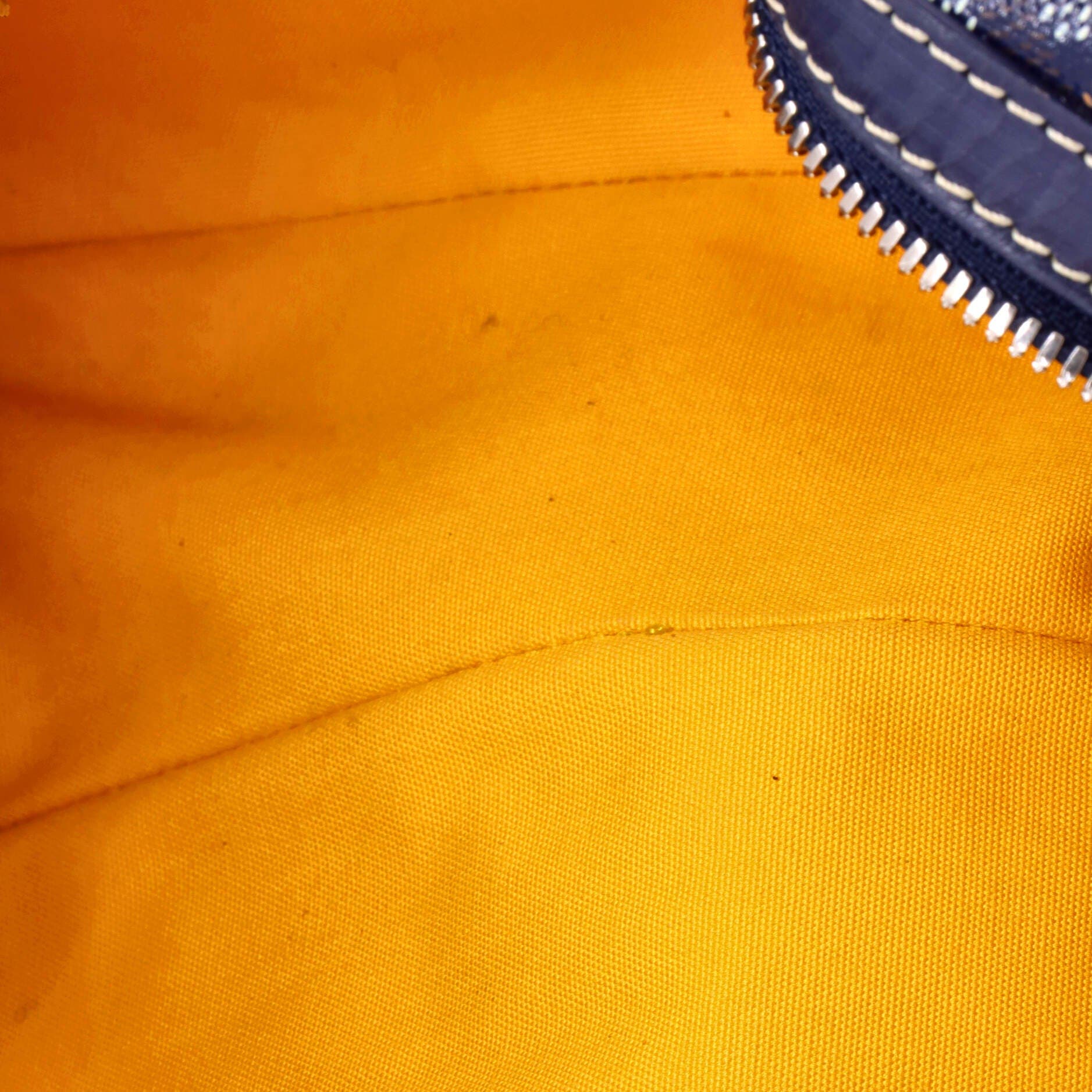 Pre-Owned Goyard Cap Vert Bag Coated Canvas, Alternate, color, Blue